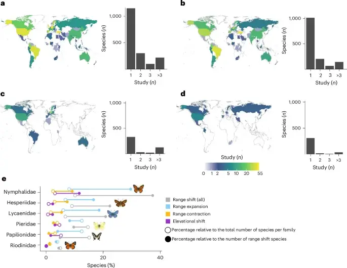 Climate reshapes butterfly ranges worldwide, with expansions outpacing contractions