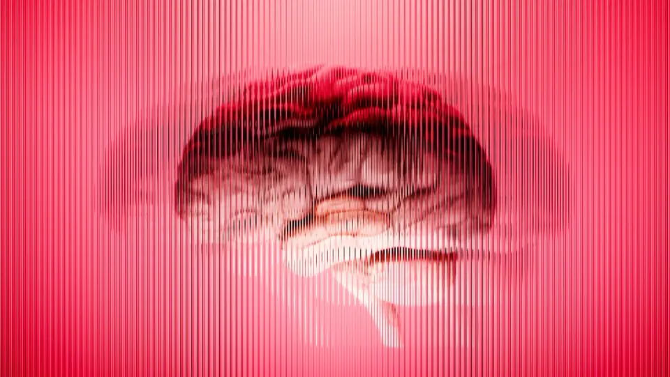 Organoid timing gap challenges lab-grown minibrains as brain models