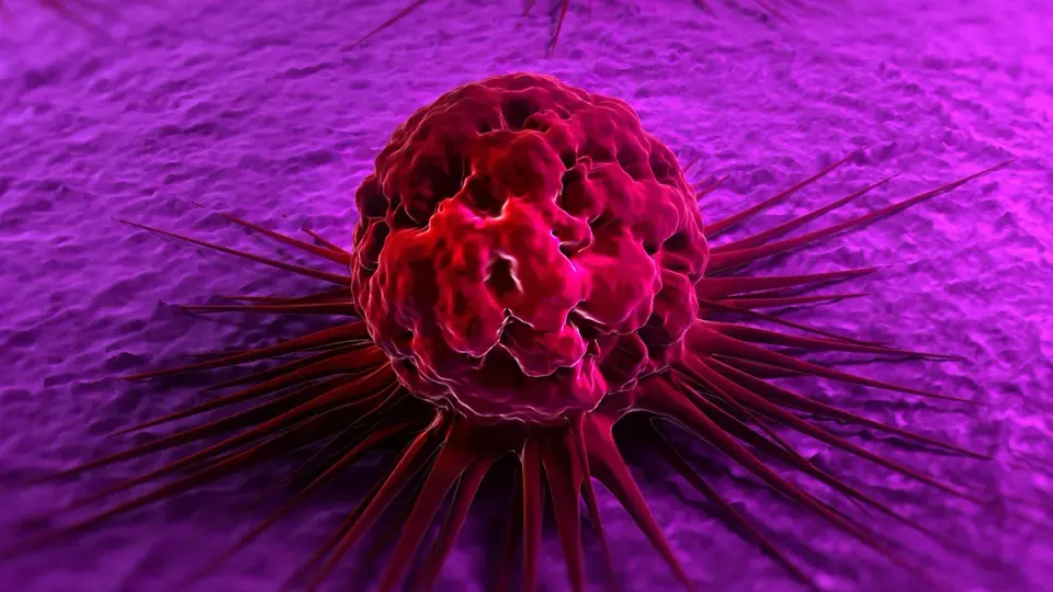 Low Testosterone May Mark Higher Cancer Risk, Large Study Finds
