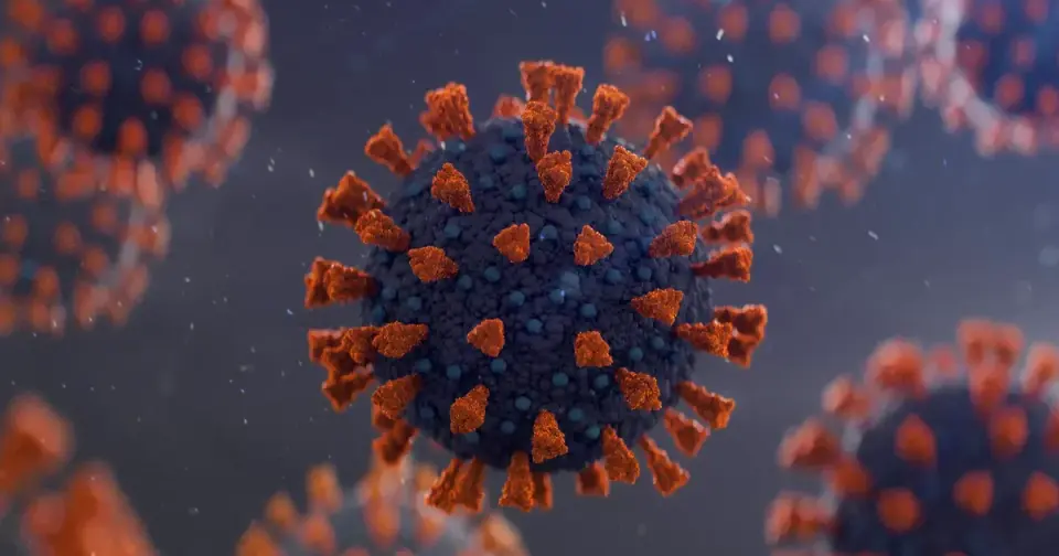 COVID-19 Cases Edge Up Across All 50 States as Fall Nears