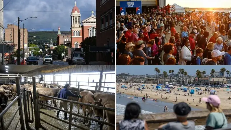 Midterm 2026: Polls show Democrats near 99% odds for House, but Republicans brace for 'wave' losses