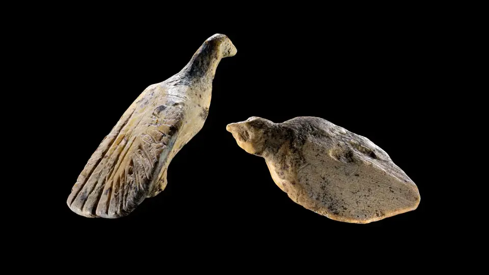 Tiny ivory birds illuminate Ice Age artistry in a German cave
