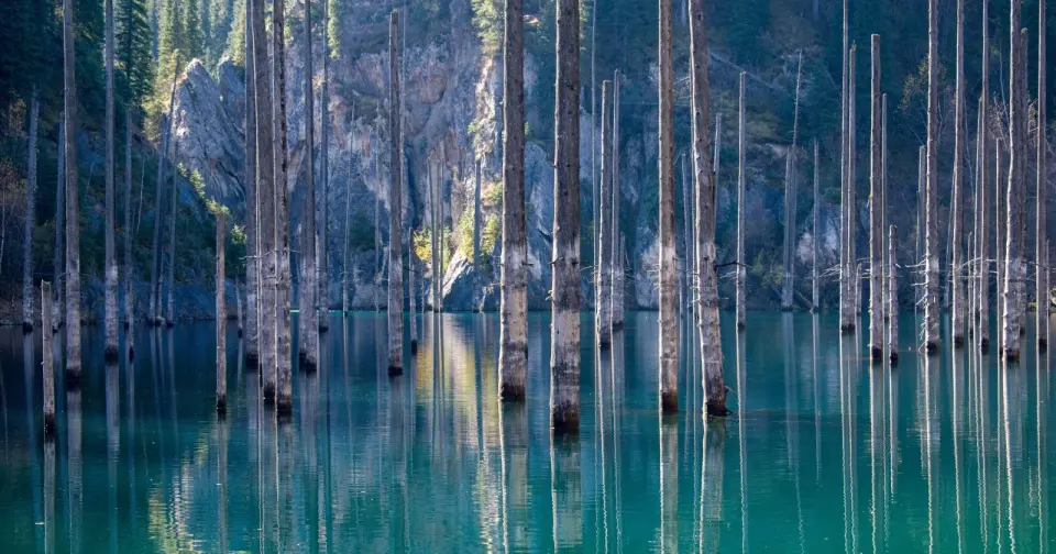 Kaindy’s Submerged Forest: a turquoise lake and the forest’s hidden network