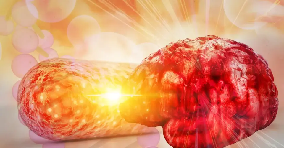 Gut Metabolite From Microbes Tied to Alzheimer’s Pathology