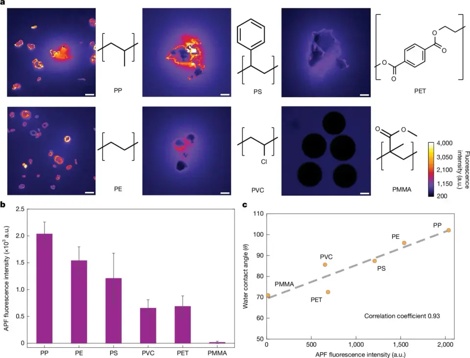 Study Reveals Microplastics Generate Harmful Radicals Upon Contact With Water