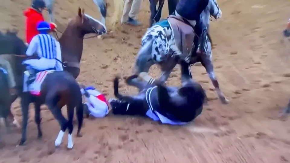 Great White Scratched From Kentucky Derby After Pre-Start Fright; Golden Tempo Wins