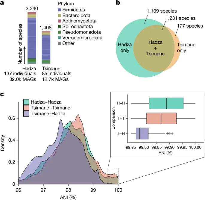 Ancient gut microbes traveled with humans from Africa to the Americas, study finds