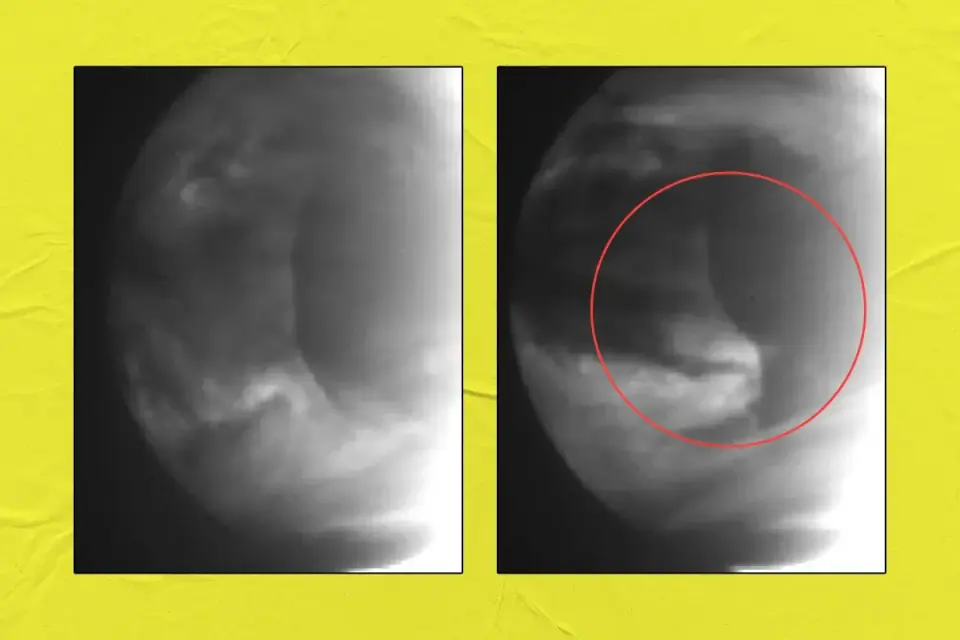Venus Clouds Harbor the Solar System's Biggest Hydraulic Jump