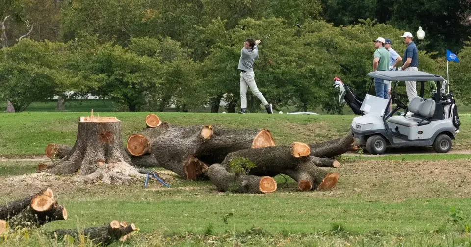 Judge Reyes Halts East Potomac Tree Removal After Weekend Blitz