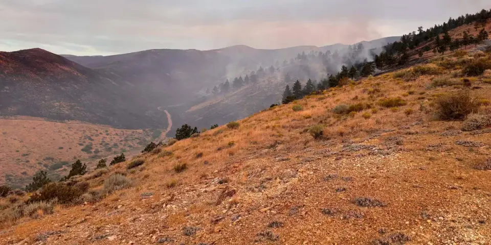 Reno-Area Hawk Fire Grows, 27% Contained with 32 Homes Lost
