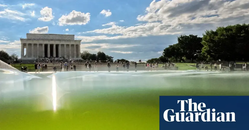 Algae Delays Trump’s $14M Lincoln Memorial Pool Makeover