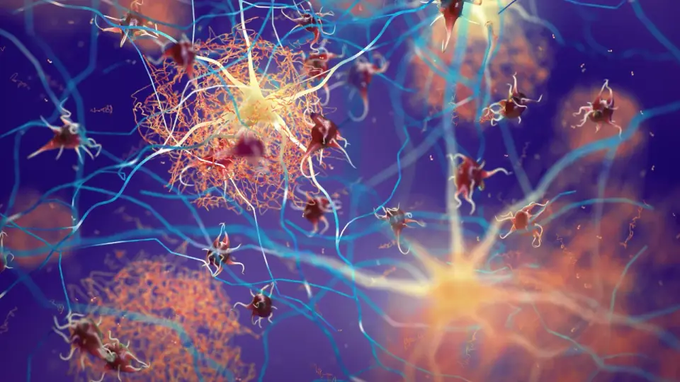 Tubulin steers brain proteins away from Alzheimer’s and Parkinson’s clumps