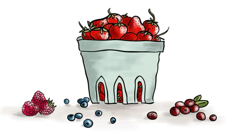 Berry binge on a budget: why fruit-heavy kid meals dent wallets