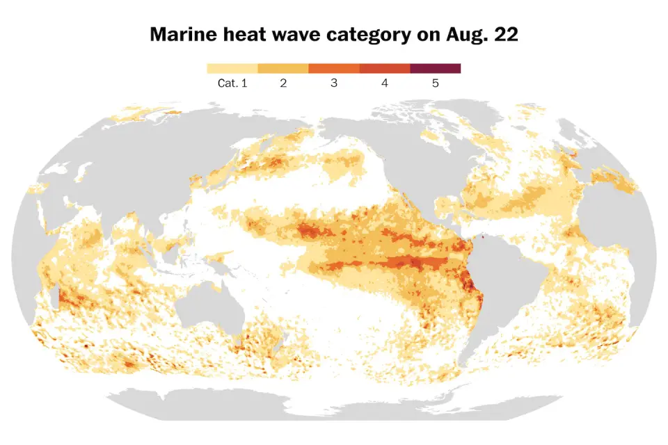 Global Ocean Warmth Surpasses Records, Tracing Back to the Last Interglacial
