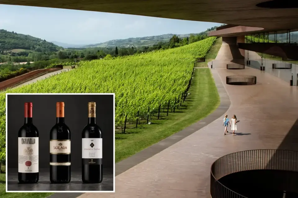 Tuscan Heist: Thieves Drain 30,000 Bottles of Antinori Wine in Record $5.8M Job