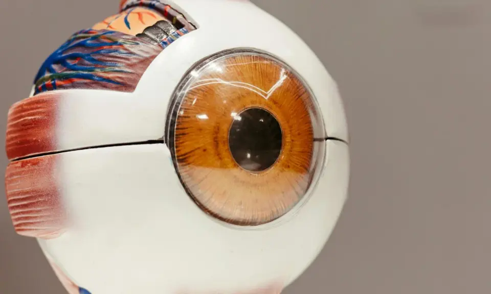 Pocket-friendly gel revives vision in seven of eight eyes with chronic low pressure