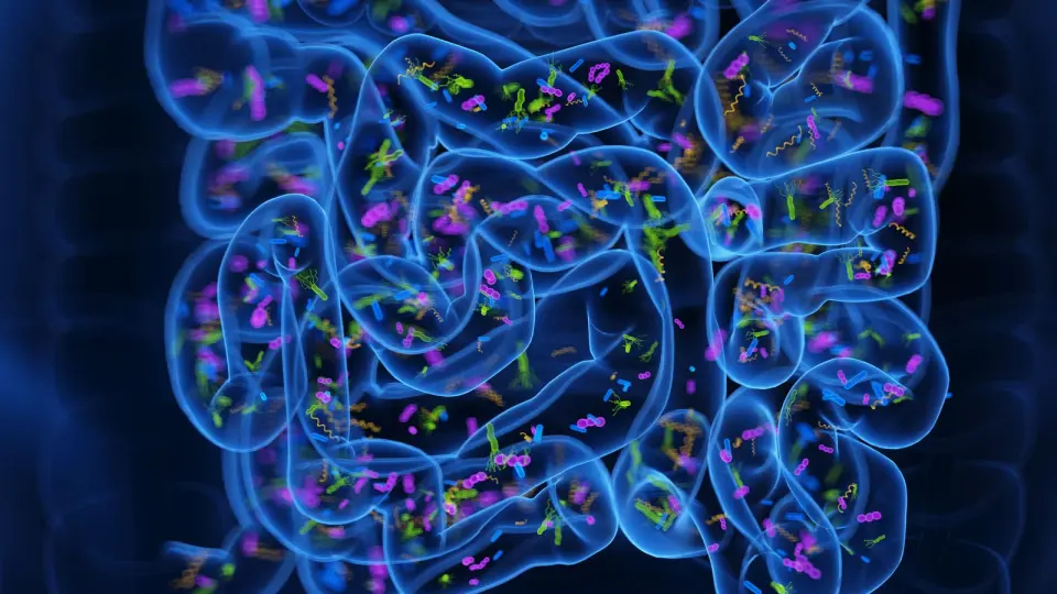 Gut bacteria transplant pills show early sleep gains in insomnia study