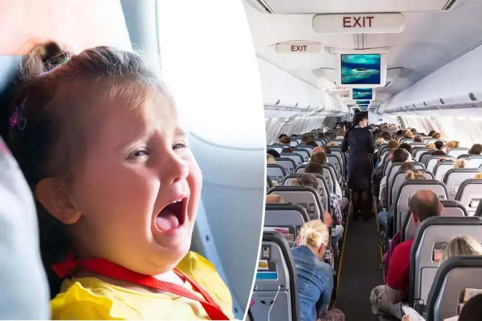 Toddler’s seatbelt defiance grounds Porter flight from Victoria to Toronto