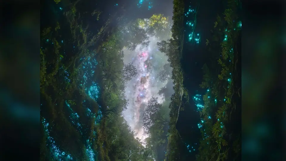 New Zealand photographer scales 100m into glow-worm cave to shoot award-winning night-sky panorama