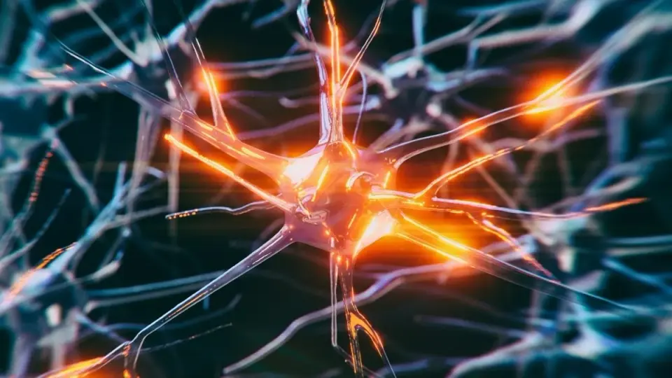 Two Injections Rebuild Brain Cells in Alzheimer's-Modeled Mice