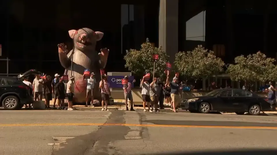 PECO strike heads into second day as assault allegations surface