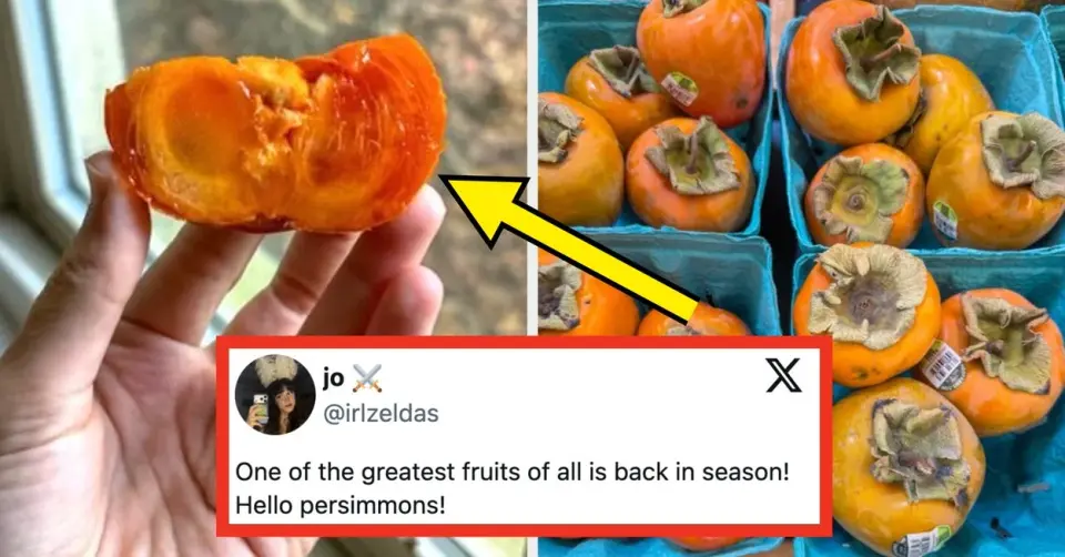 BuzzFeed Compiles 20 Wholesome Social Media Posts to Brighten the Week