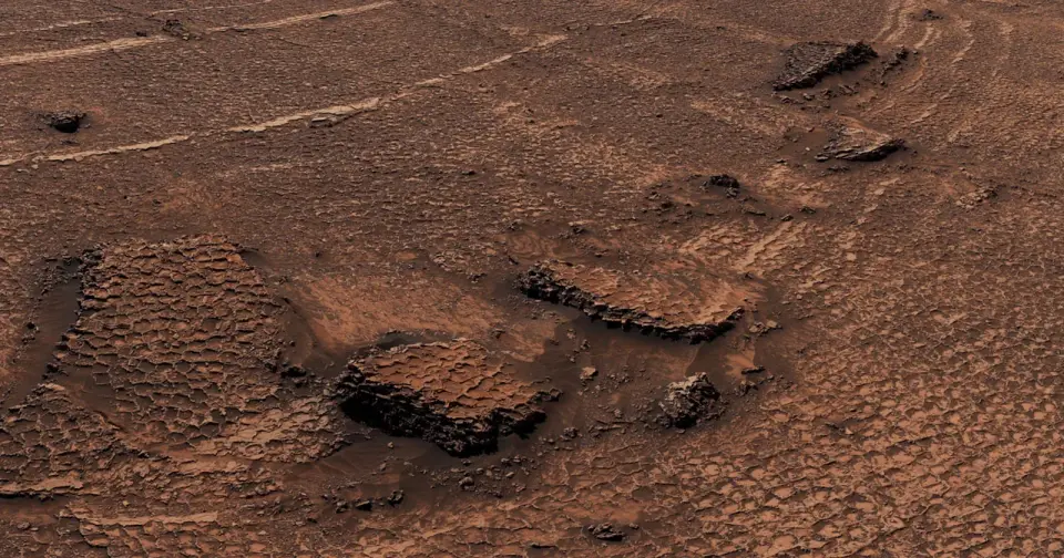 Curiosity Maps a Sea of Polygonal Rocks on Mars