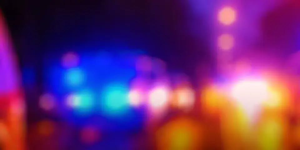 Hickerson brothers detained in Greenville restaurant altercation following Panettiere death probe