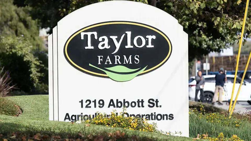 FDA probes Mexican lettuce plant amid Cyclospora outbreak