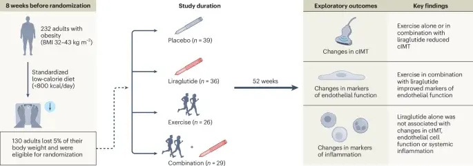Exercise amplifies cardiovascular gains from GLP-1 therapy beyond weight loss