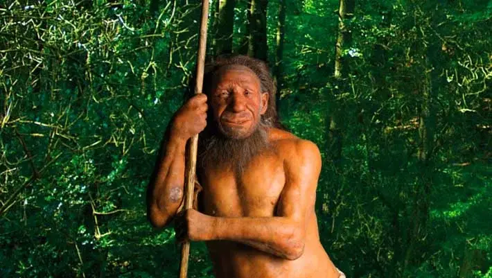 Northwestern Europe’s Neanderthals Revealed as a Connected Regional Population, DNA Study Finds