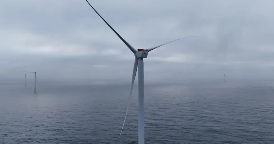 Trump Admin Pays Wind Developers to Abandon California Offshore Leases