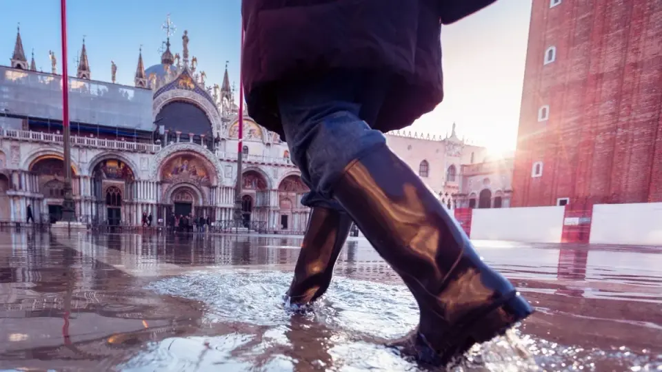 Venice at Sea-Level Crossroads: Four Engineering Bets to Save the City