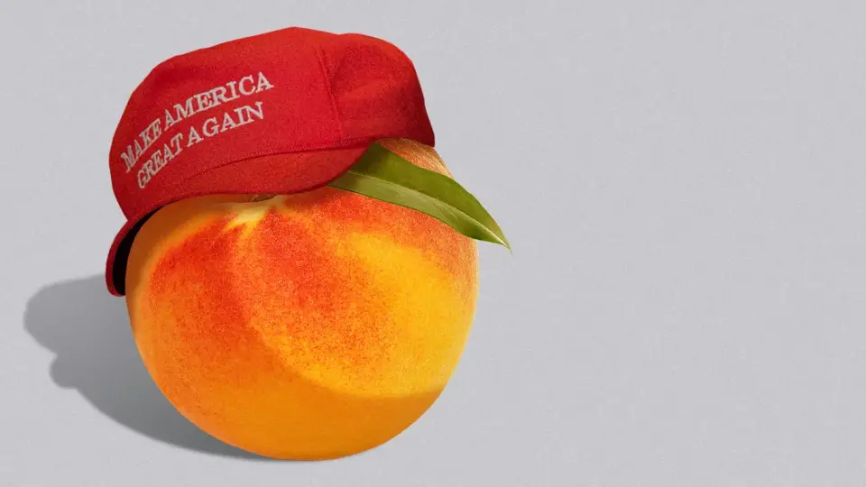 Trump’s Midterm Strategy: Body Checks, Bigotry, and Economic Denial