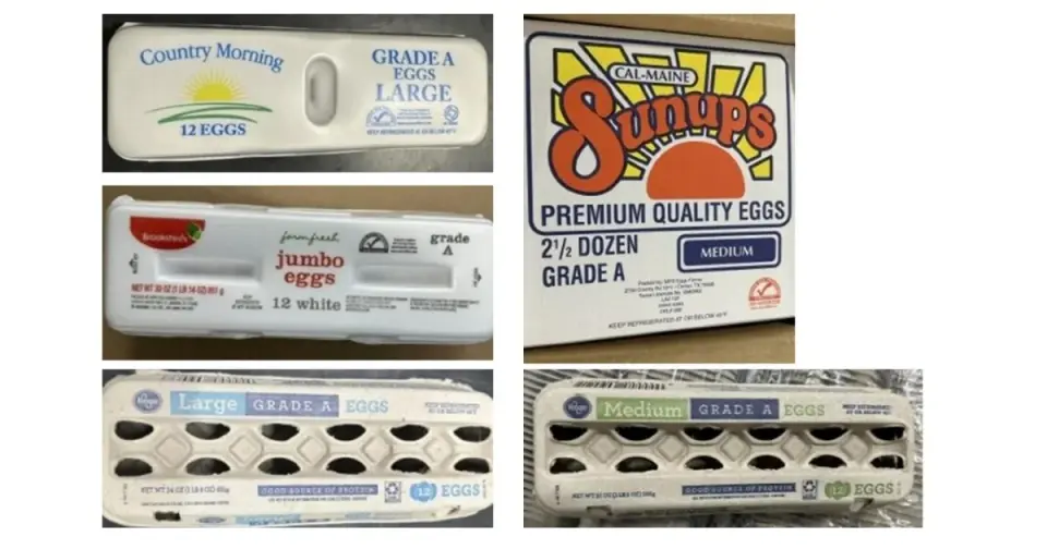 FDA Elevates Egg Recall to Class I Over Salmonella Fears