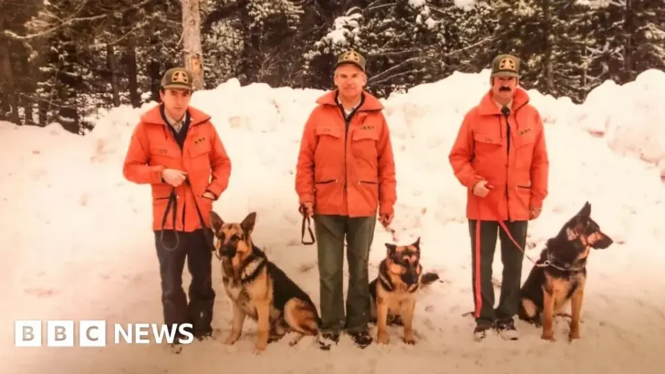 Parks Canada Ends 55-Year Avalanche Dog Program in Banff Amid Budget Cuts