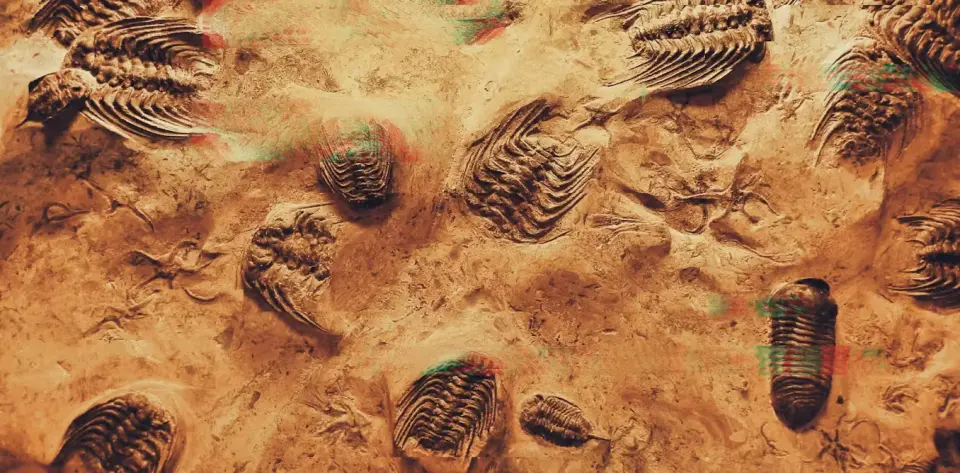 When AI Evolves: Could Machines Rewrite Evolution Itself?