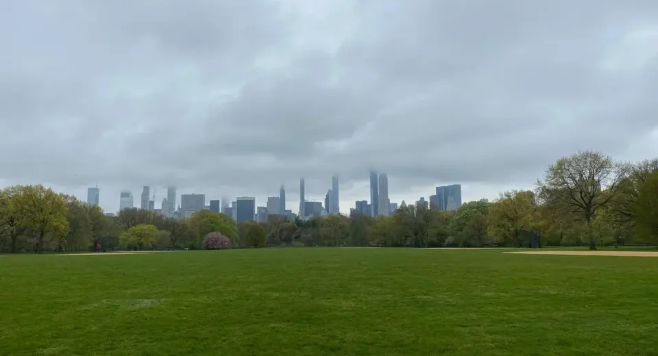 NYPD arrests man in Central Park murder of 63-year-old park resident