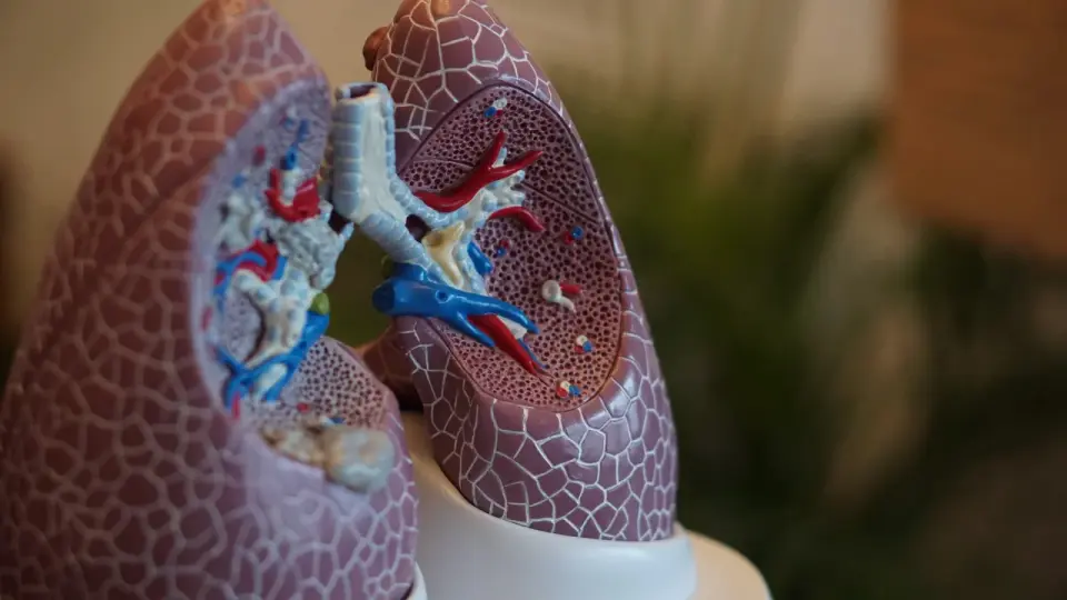 Endeavor’s taladegib shows first signs of reversing lung fibrosis in phase 2b trial