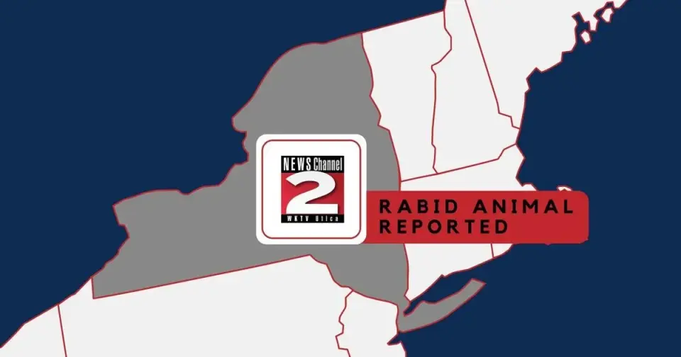 Rabid Bat in New Hartford Triggers Post-Exposure Treatment for Three