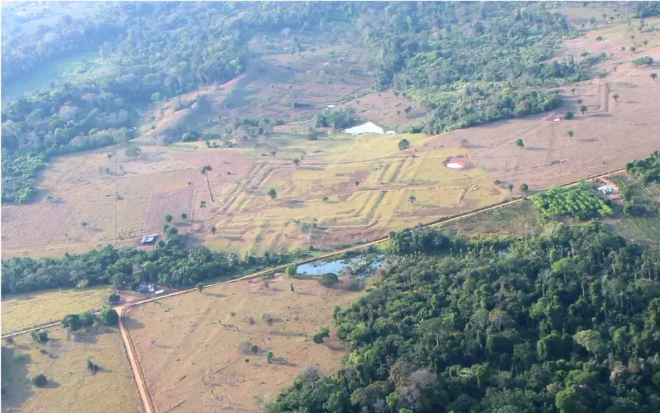 Lidar Reveals 400 Ancient Amazon Geoglyphs, Rewriting Regional History