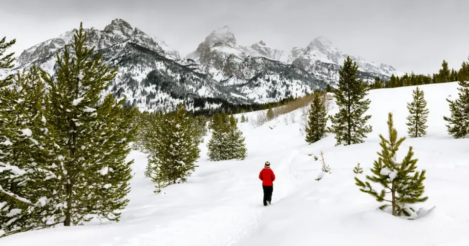 Stranded on a Summit: The Alpine Divorce Redefines Relationship Risk
