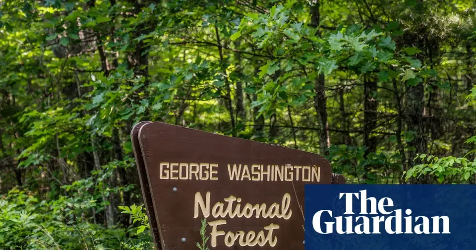 Trump to Roll Back Roadless Protections, Opening Millions of Acres of U.S. Forests to Development