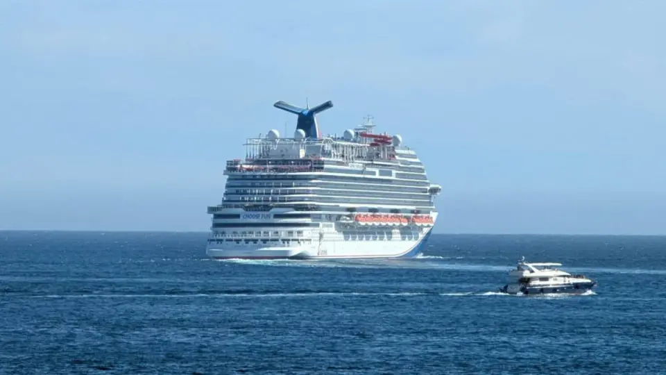 Carnival Panorama Halts Course for Overboard Search Off California Coast