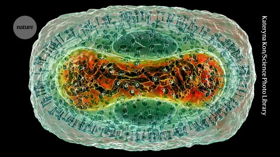 AlphaFold Database Expands to Cover Viral Protein Complexes for Pandemic Preparedness