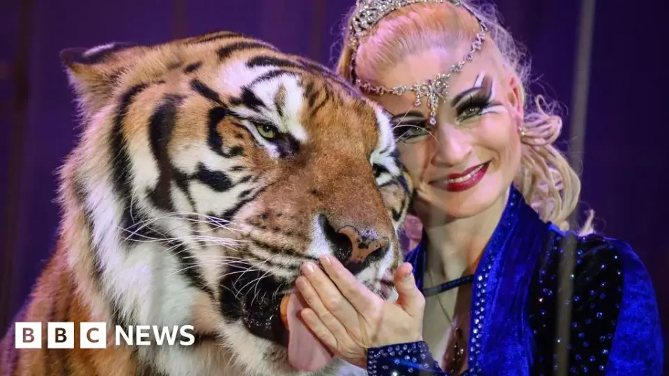 Police shoot escaped tiger near Leipzig after keeper attack
