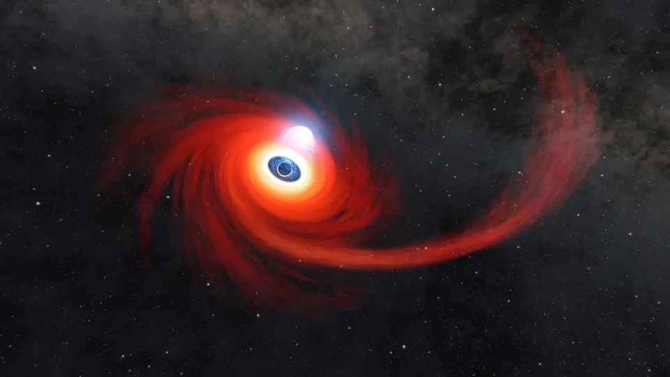 JWST uncovers a distant naked black-hole-star, offering clues to the little red dots