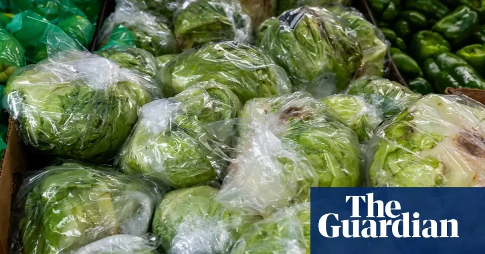 Congress blocks FDA food traceability rule until 2028, delaying response to cyclospora outbreak