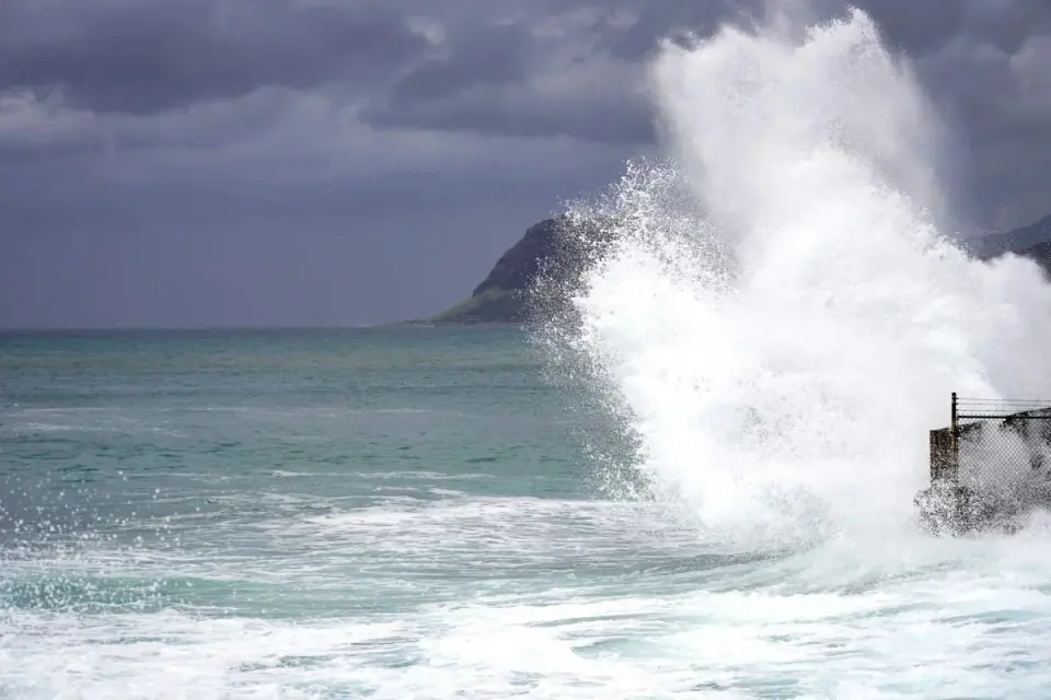 Surfer survives dramatic 12-foot tiger shark encounter off Oahu during hurricane swell