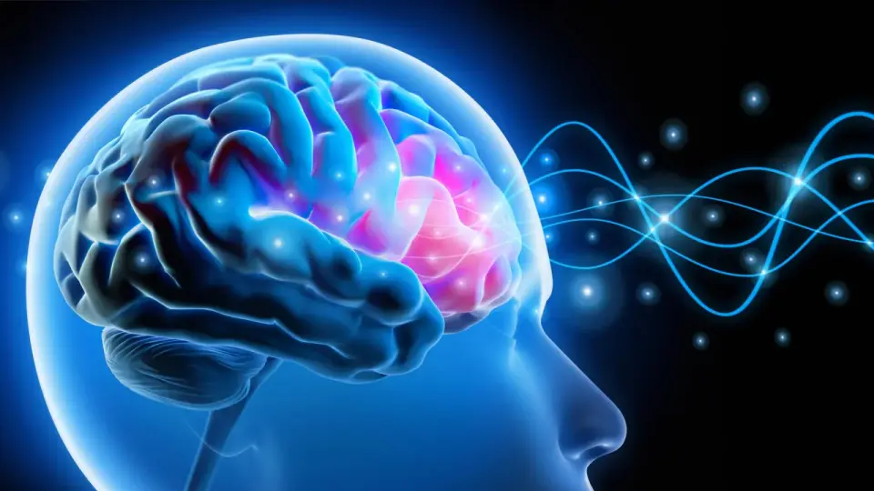 Targeted amygdala circuit tweak reverses anxiety in mice